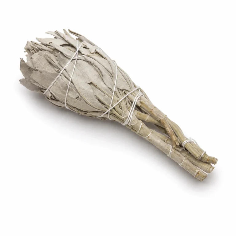 Natural White Sage Cleansing Bundle with hand-tied dried white sage leaves for meditation, mindful rituals and creating peaceful spaces.