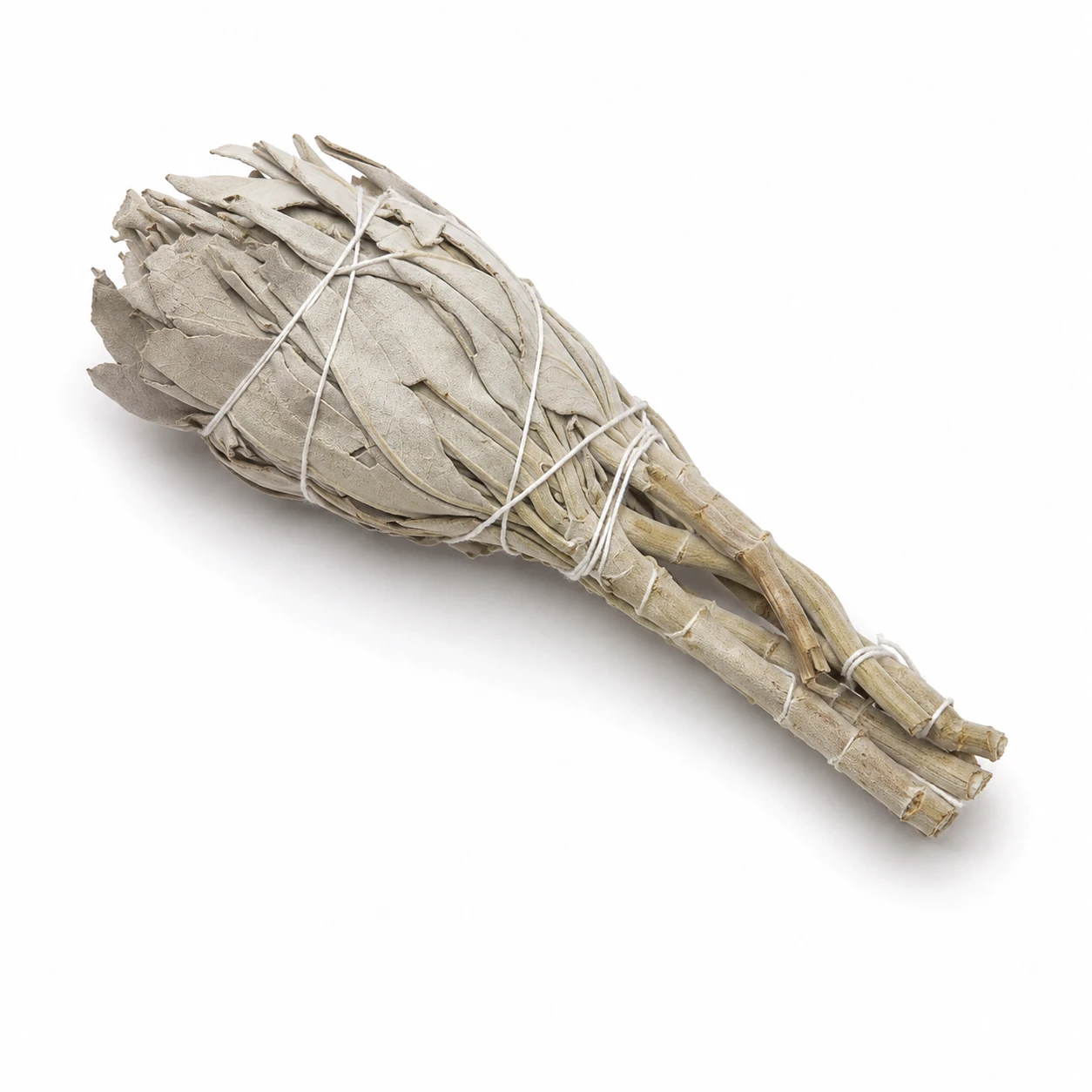 Natural White Sage Cleansing Bundle with hand-tied dried white sage leaves for meditation, mindful rituals and creating peaceful spaces.
